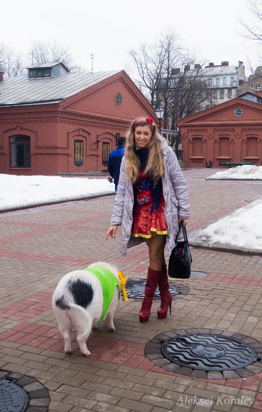 Елизавета Родина - НОВОГОДНЯЯ. сл.-Ольга Коротникова-Виор,муз.-Е.Камская, студия Игоря Латышко