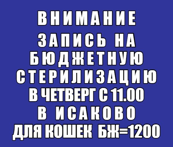 П.а.р.а.м.о.р - С.т.и.л.л И.н.т.о. Ю.