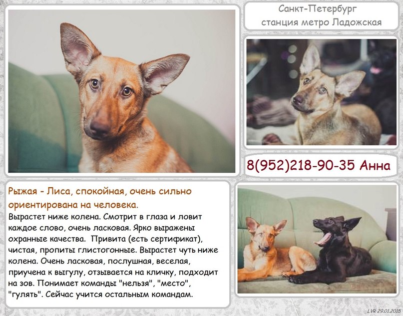разговор участника 
